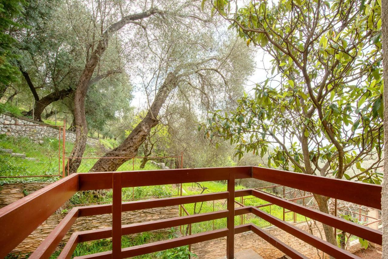 Villa Milana בודווה מראה חיצוני תמונה